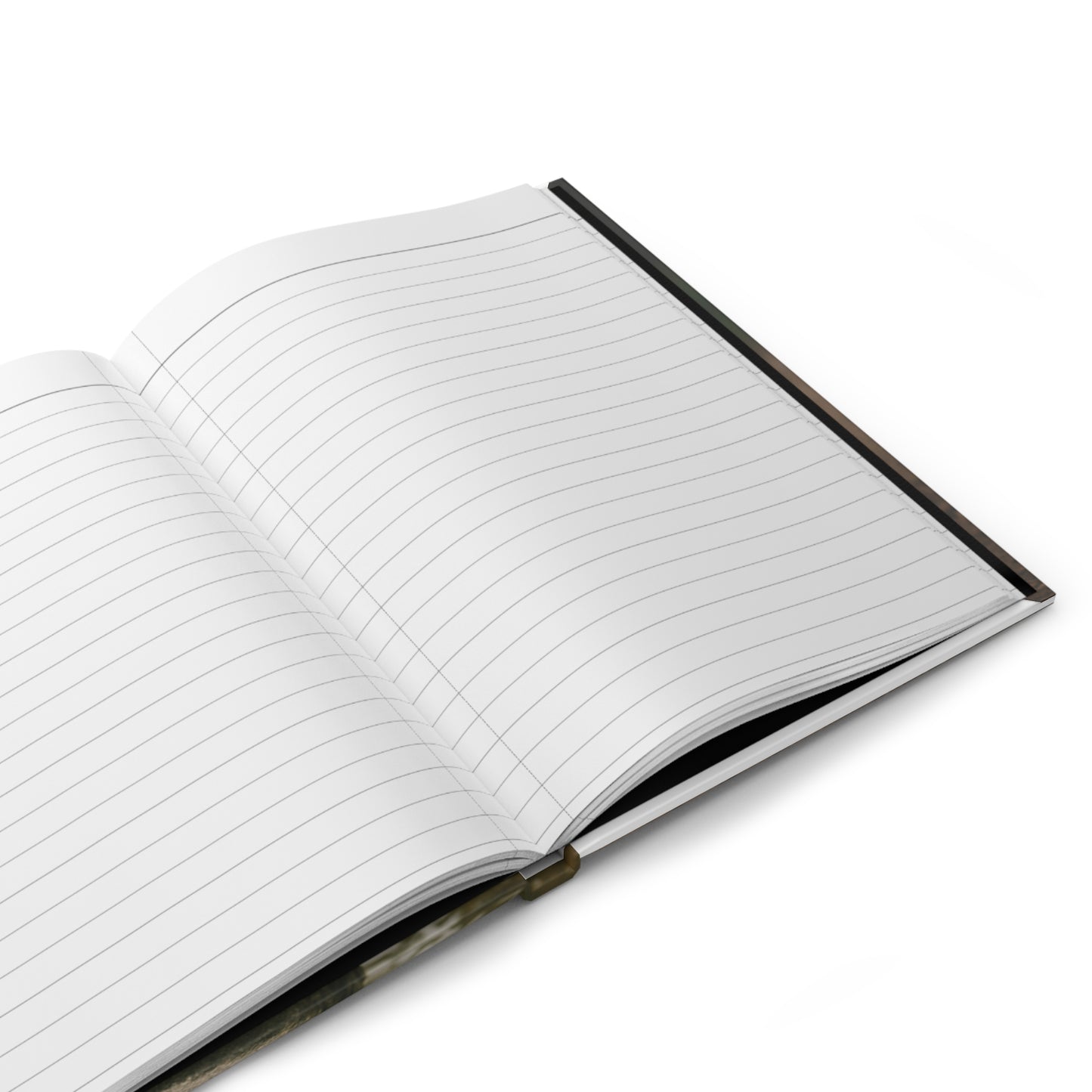 One Step Forward- Journal