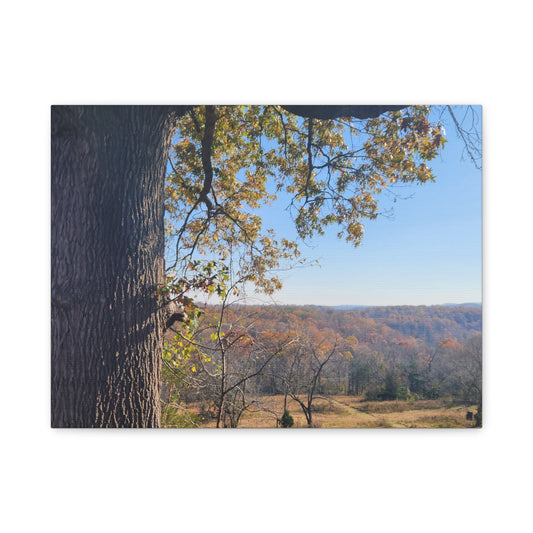 Autumn Hillside Canvas Print — Matte Stretched Wall Art