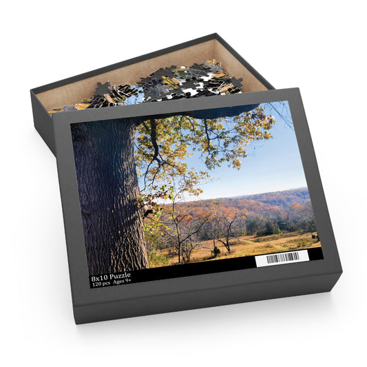 Arkansas Fall Puzzle (120, 252, 500-Piece)
